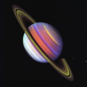 Meet your Posher, Elise